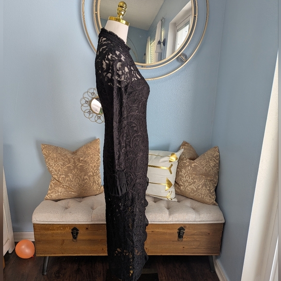 Alexis Fala Lace Dress - Picture 4 of 8